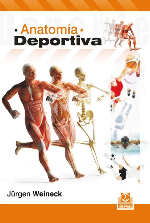 La anatomía deportiva