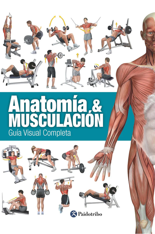 Anatomía & musculación. Guía visual completa