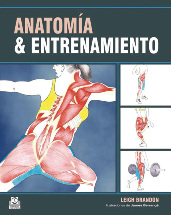 Anatomía & entrenamiento.